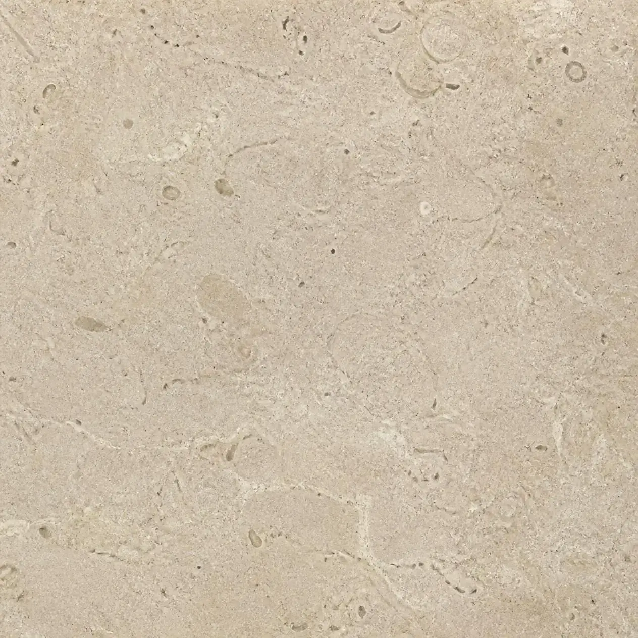 Surface detail of honed beige limestone from Indonesia