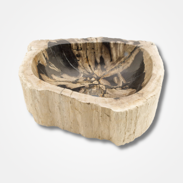 Ivory Fossil